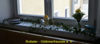 001_25_jahre_rof-011